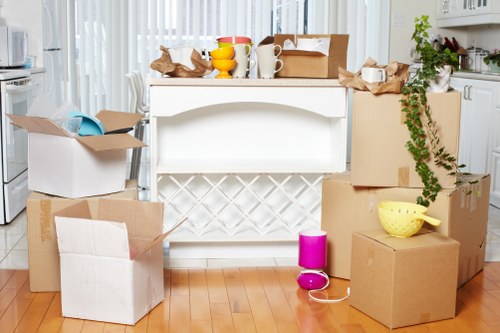 Careful boxing and labeling of household items during packing services in Pimlico