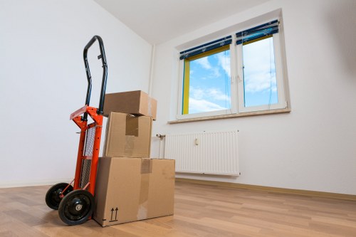 Careful packing and labeling for a home move in Pimlico