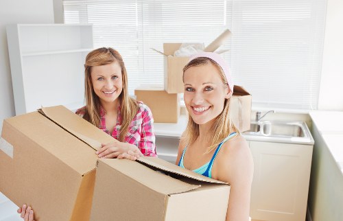 Professional van transport in central London near Pimlico homes